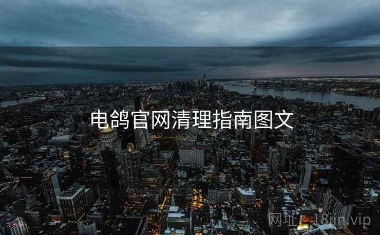 电鸽官网清理指南图文  第2张