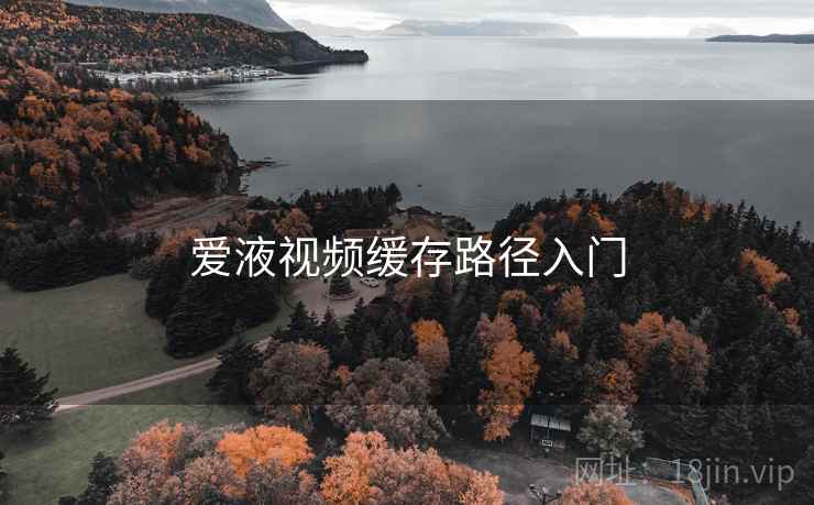 爱液视频缓存路径入门  第2张