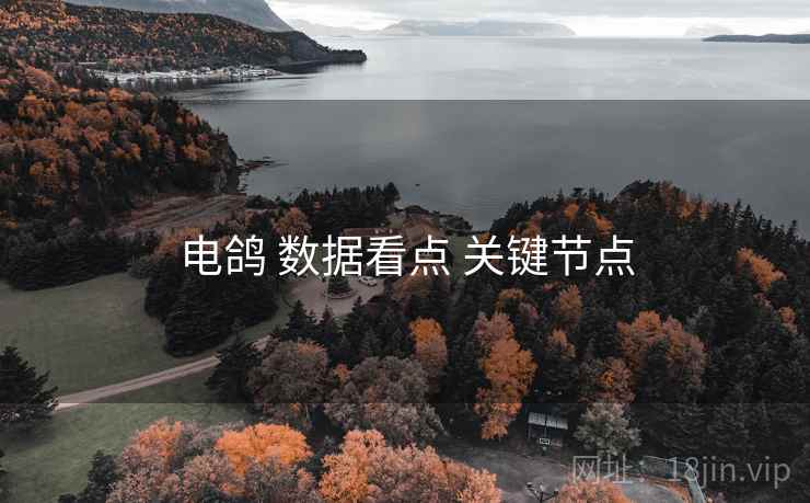 电鸽 数据看点 关键节点  第2张