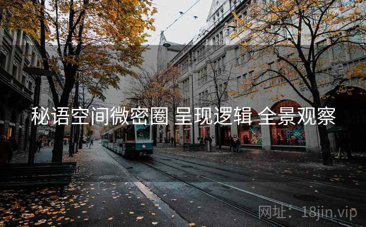 秘语空间微密圈 呈现逻辑 全景观察  第1张