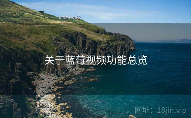 关于蓝莓视频功能总览  第1张