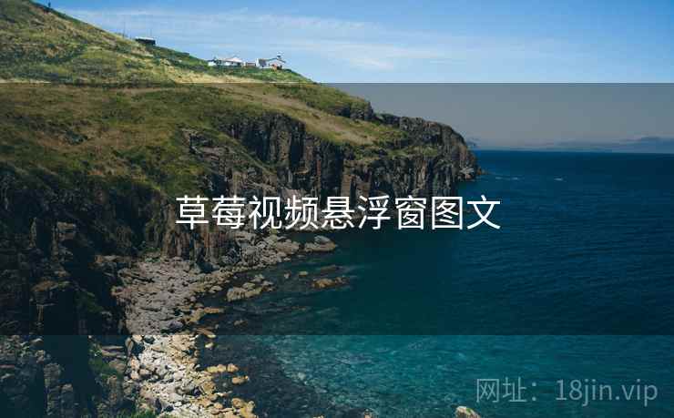 草莓视频悬浮窗图文  第2张