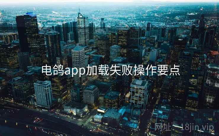 电鸽app加载失败操作要点  第1张