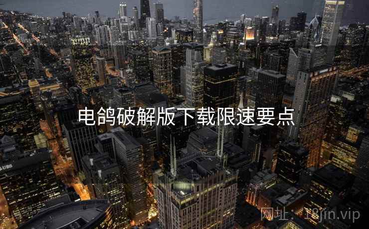电鸽破解版下载限速要点  第1张