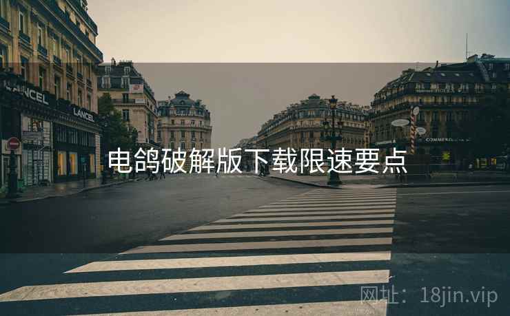 电鸽破解版下载限速要点  第2张