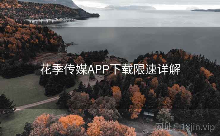 花季传媒APP下载限速详解  第1张