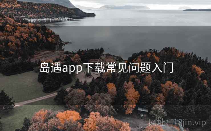 岛遇app下载常见问题入门  第2张