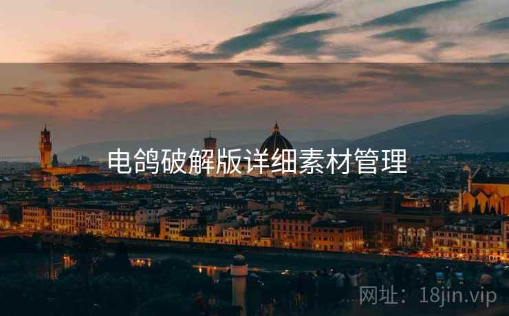 电鸽破解版详细素材管理  第2张