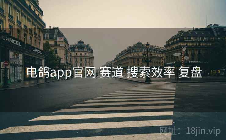 电鸽app官网 赛道 搜索效率 复盘  第2张