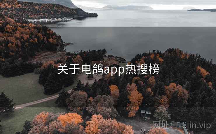 关于电鸽app热搜榜  第2张