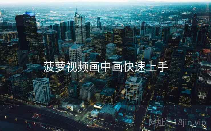 菠萝视频画中画快速上手  第1张