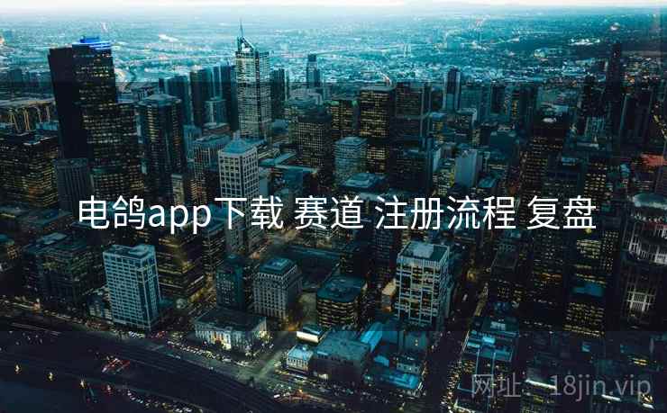 电鸽app下载 赛道 注册流程 复盘  第2张