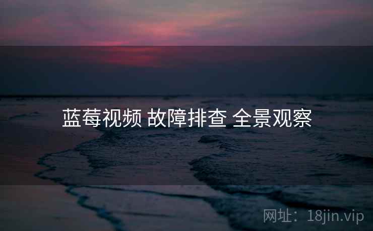 蓝莓视频 故障排查 全景观察  第2张