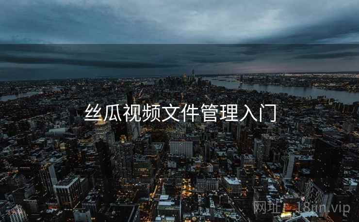 丝瓜视频文件管理入门  第1张