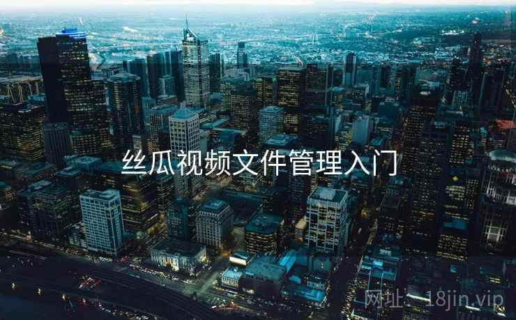 丝瓜视频文件管理入门  第2张