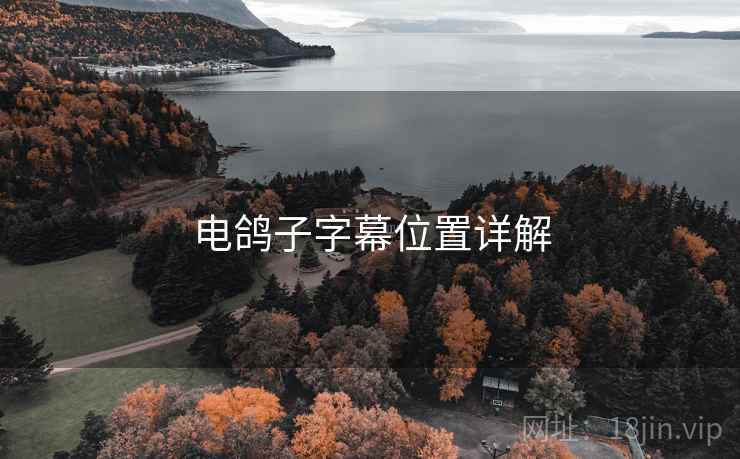 电鸽子字幕位置详解  第2张