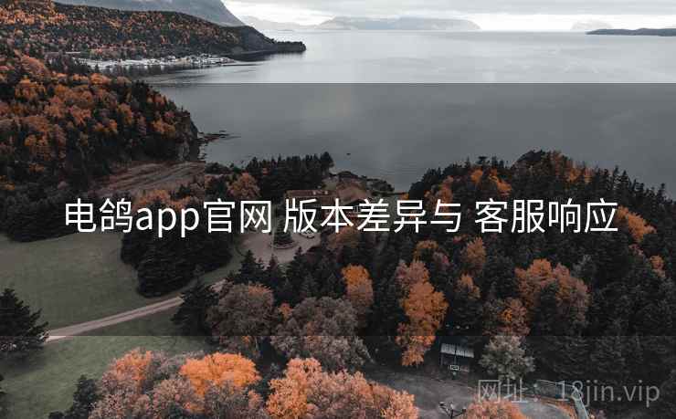 电鸽app官网 版本差异与 客服响应  第2张