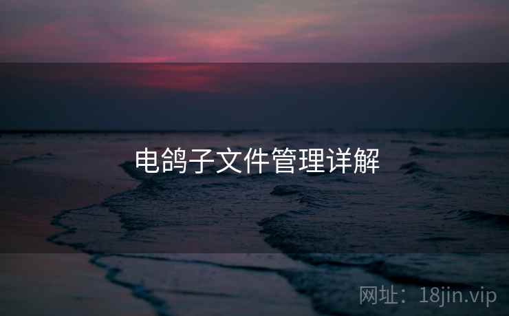 电鸽子文件管理详解  第1张