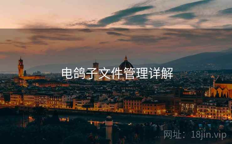 电鸽子文件管理详解  第2张