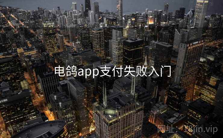 电鸽app支付失败入门  第1张