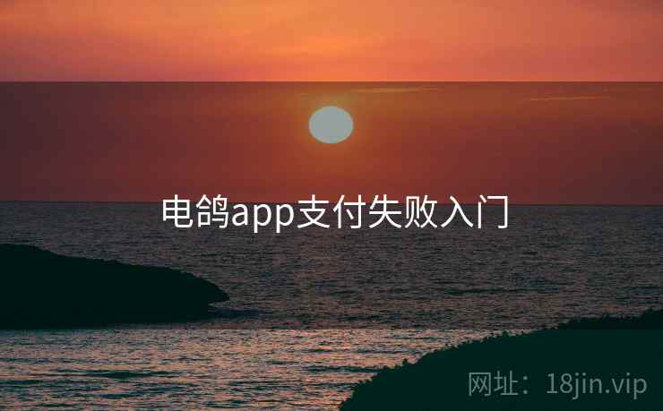 电鸽app支付失败入门  第2张