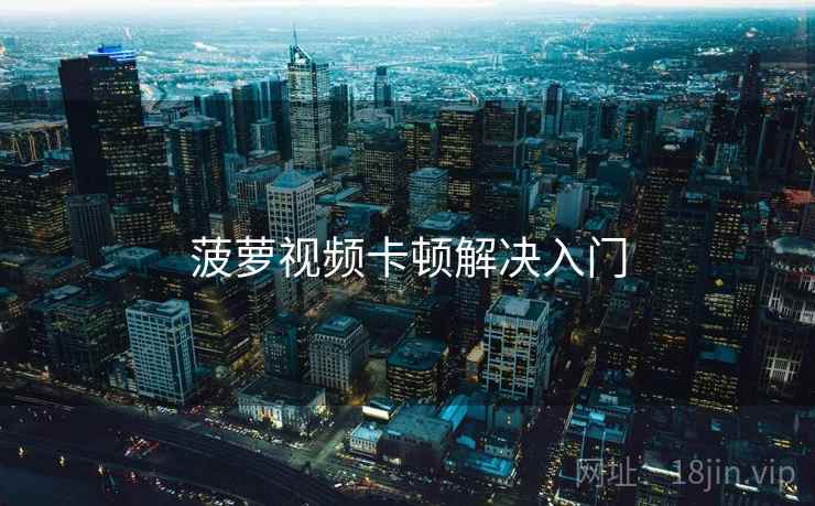 菠萝视频卡顿解决入门  第2张