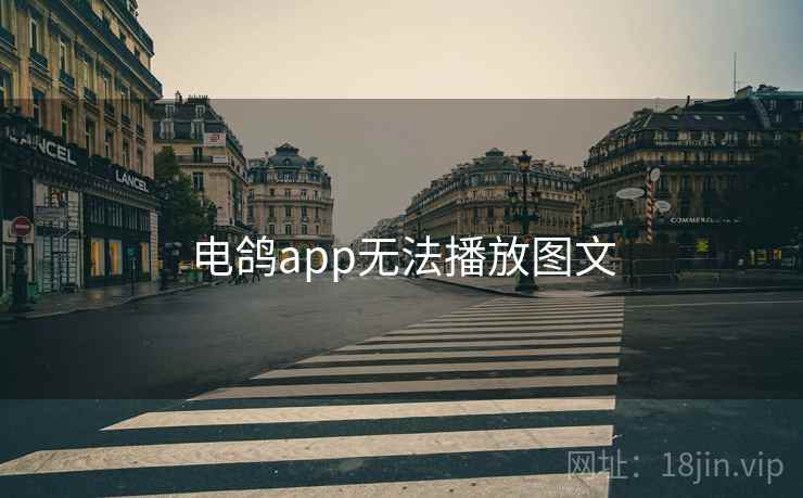 电鸽app无法播放图文  第1张