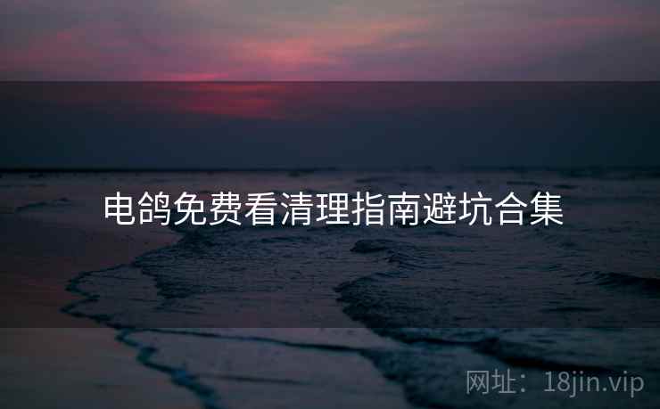 电鸽免费看清理指南避坑合集  第2张