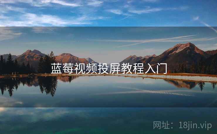 蓝莓视频投屏教程入门  第2张
