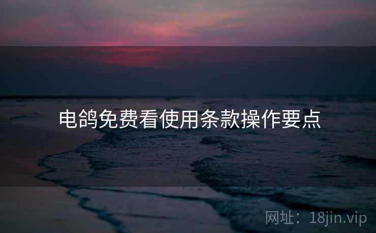 电鸽免费看使用条款操作要点  第1张