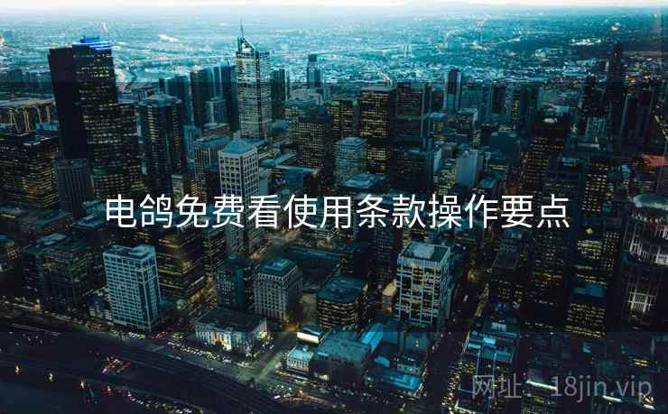 电鸽免费看使用条款操作要点  第2张