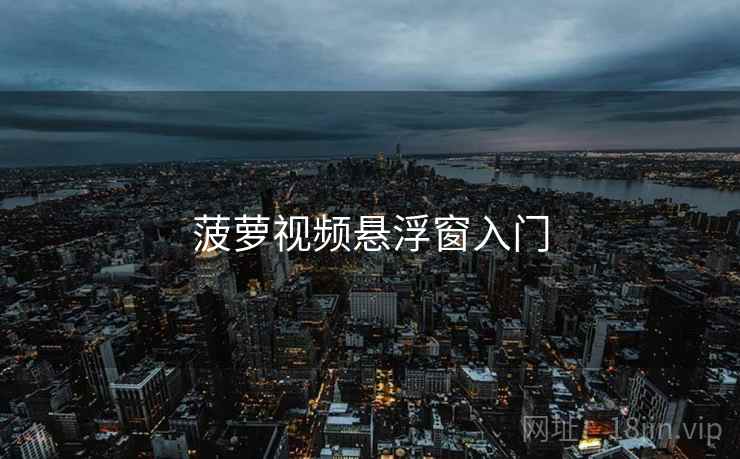 菠萝视频悬浮窗入门  第2张
