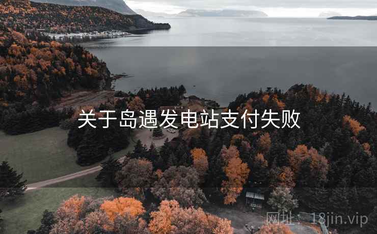 关于岛遇发电站支付失败  第2张