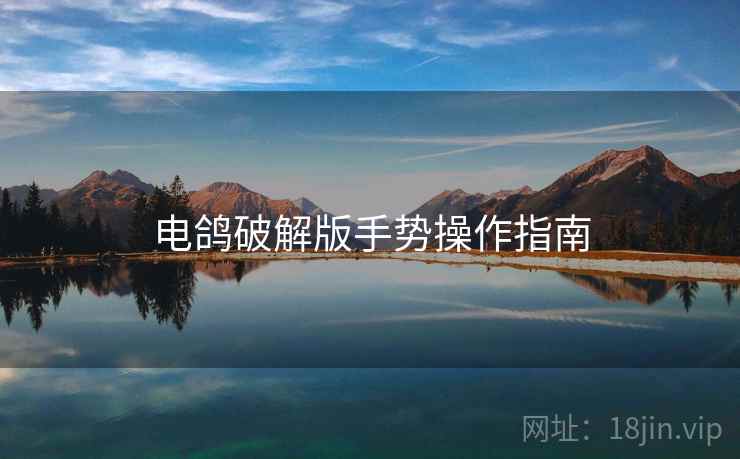 电鸽破解版手势操作指南  第1张