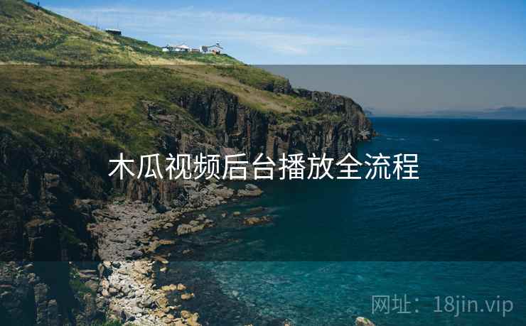 木瓜视频后台播放全流程  第1张