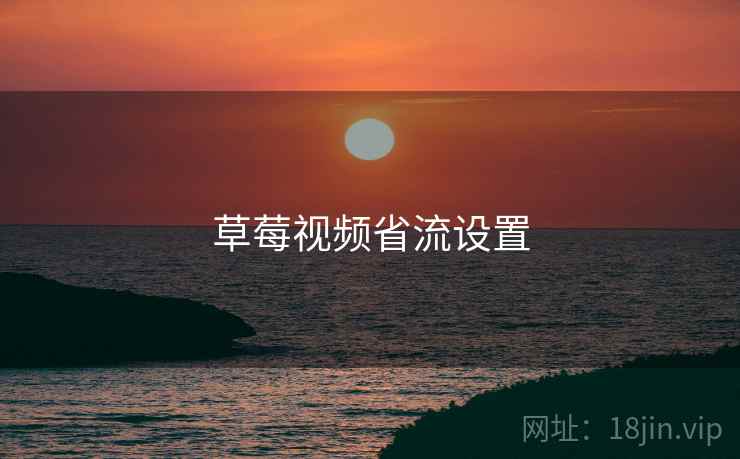 草莓视频省流设置  第1张