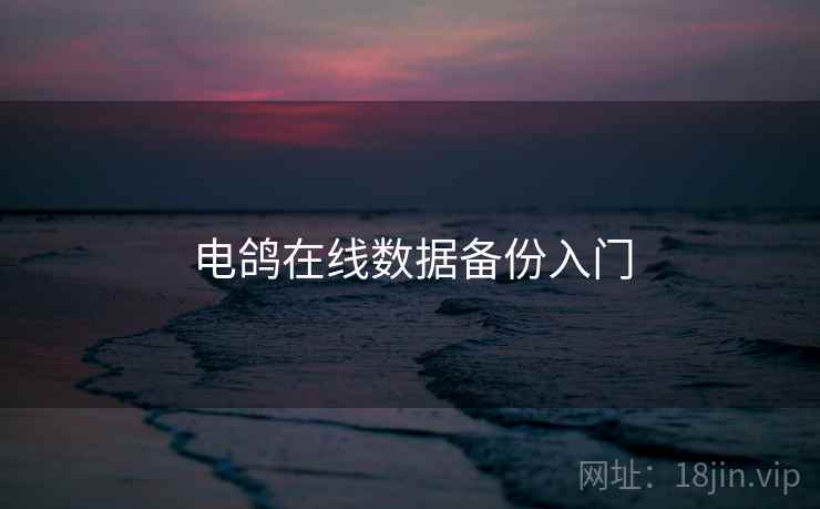 电鸽在线数据备份入门  第2张