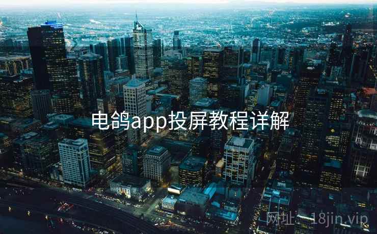 电鸽app投屏教程详解  第2张