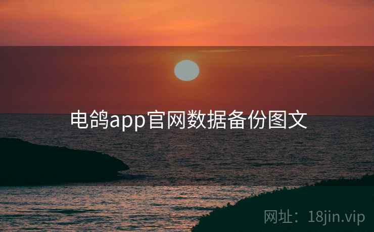 电鸽app官网数据备份图文  第1张
