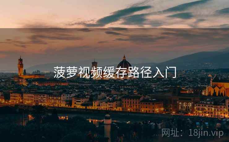 菠萝视频缓存路径入门