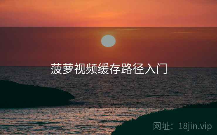 菠萝视频缓存路径入门